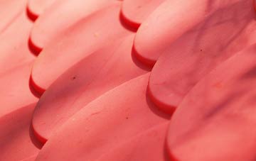 Burnworthy plastic roof costs