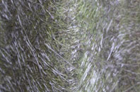 Burnworthy fibreglass roof work